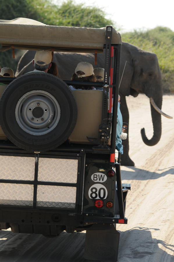 Ngoma Safari Lodge Kavimba Zewnętrze zdjęcie
