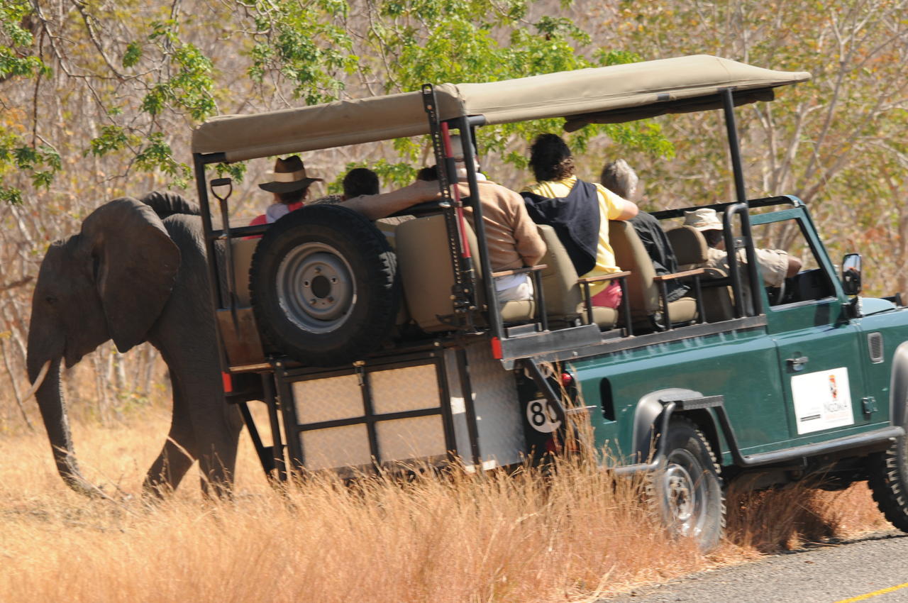 Ngoma Safari Lodge Kavimba Zewnętrze zdjęcie