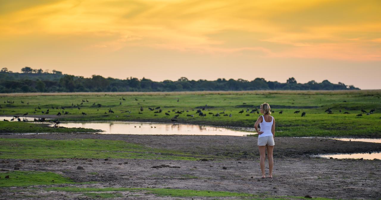 Ngoma Safari Lodge Kavimba Zewnętrze zdjęcie