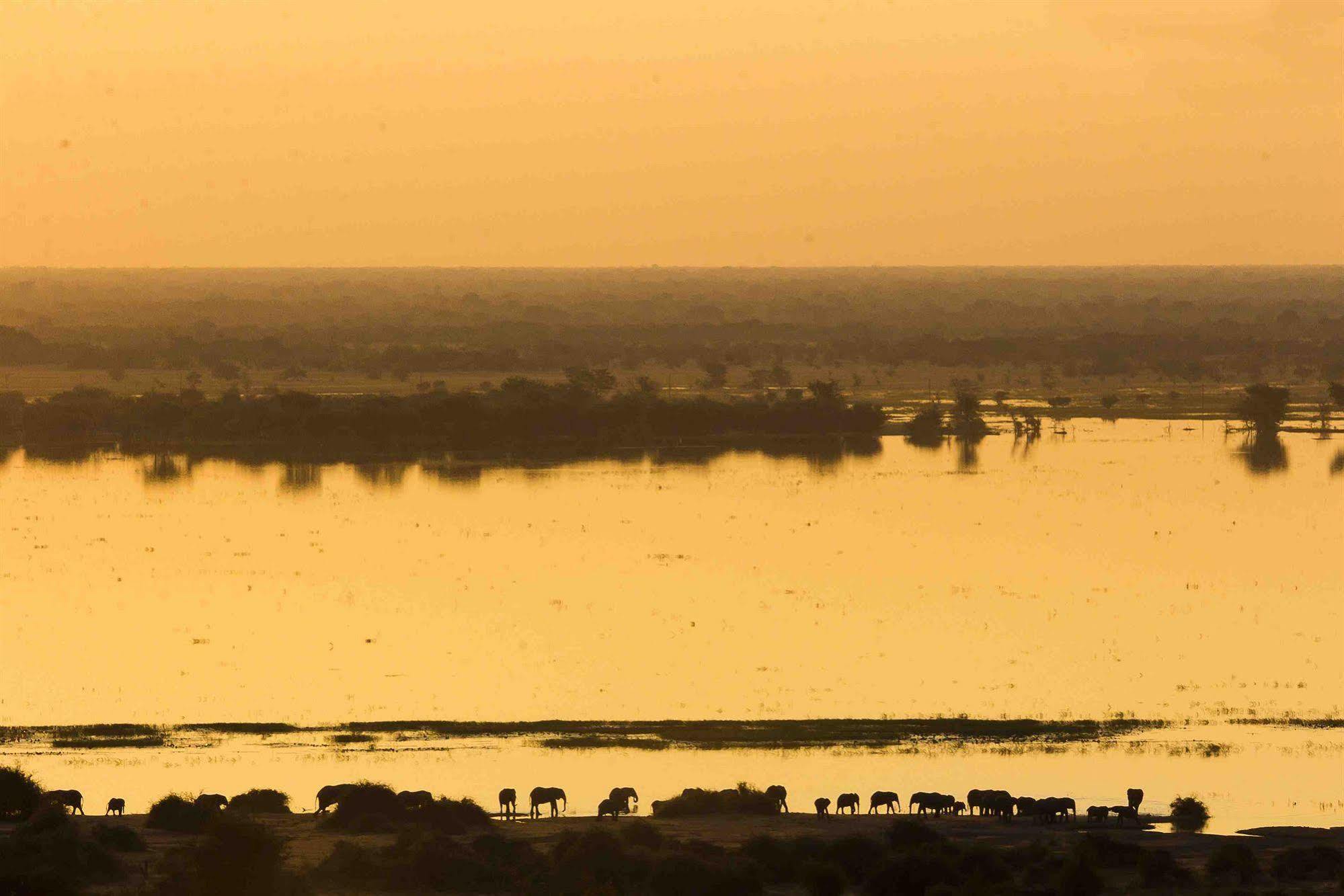 Ngoma Safari Lodge Kavimba Zewnętrze zdjęcie