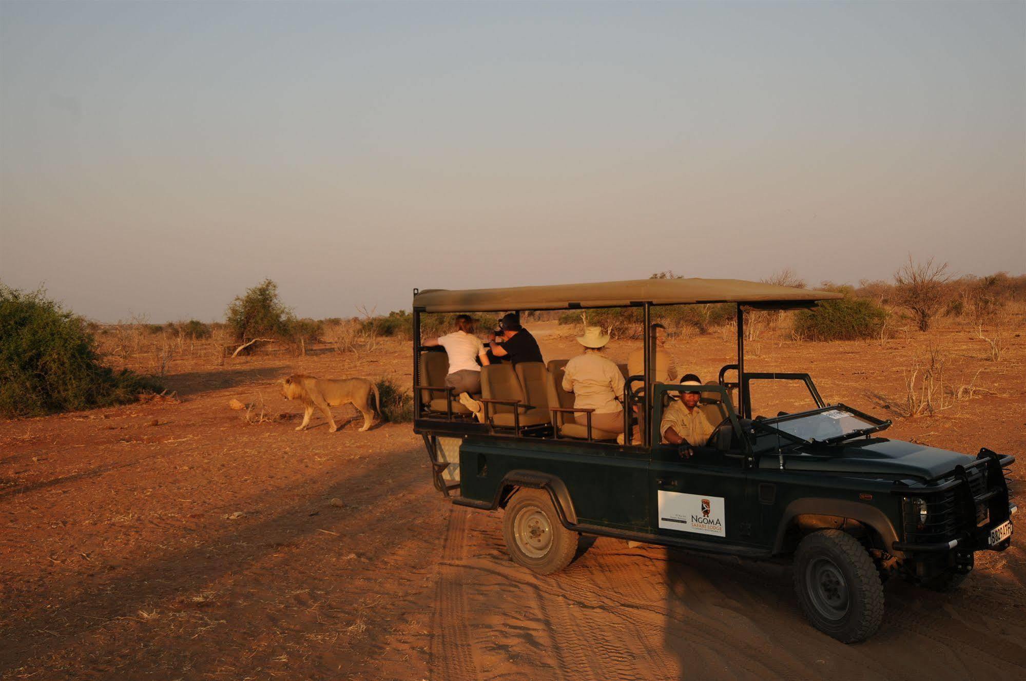 Ngoma Safari Lodge Kavimba Zewnętrze zdjęcie