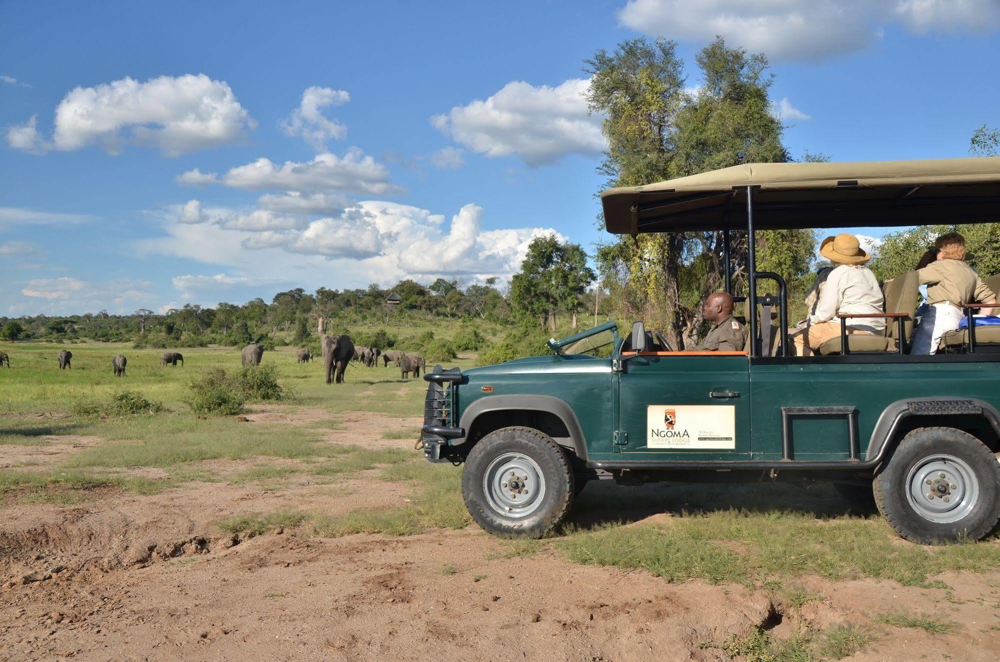 Ngoma Safari Lodge Kavimba Zewnętrze zdjęcie